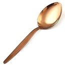 BNAZIND Kunz Spoons Cooking Spoons 18/10 Stainless Steel Titanium Shiny Rose Gold Basting Spoon - 9 Inches Plating Spoons - Daily Chef Spoons - quenelle spoon – Serving Spoon