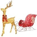 HOYECHI Lighted Christmas Decorations Reindeer & Sleigh 2 Pcs, Light up Christmas Decor Deer Set for Indoor Home Outdoor Front Yard Porch with LED Lights, Extension Cord, Plug, Ground Stakes - Gold