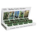 Pronto Seed Grow Your Own Cactus Kit - Indoor Plant - at Home Eco Grow Kit - 5 Seed Varieties of Easy to Grow Cacti - Gardening Pack for Women and Men - Great Gift for Teachers