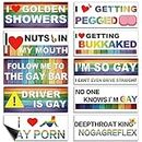 10 Pcs Gay LGBT Prank Bumper Stickers Car Stickers Rainbow Bumper Stickers Magnetic Bumper Decals Colorful Car Accessories for Car Vehicle Refrigerator(Classic Style, Magnetic)