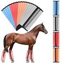 Bulyoou 16 Pcs Fly Boots for Horses Mesh Ventilated Horse Leggings Breathable Horse Leg Wraps to Reduce Stomping Hoof Damage and Leg Fatigue, 4 Colors (Classic Color)