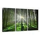 Visario Canvas Picture from German Picture 160 x 90 cm Set of 3 Trees Light – 1130 Pictures Art Prints