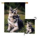 Breeze Decor German Shepherd Nature Pets 2-Sided Polyester 40 x 28 in. House/Garden Flag in Black/Gray | 40 H x 28 W in | Wayfair