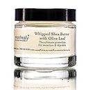 evanhealy Whipped Shea Butter with Olive Leaf | Natural Body Lotion for Dry & Sensitive Skin | Shea Butter Raw Organic & Coconut Oil for Skin
