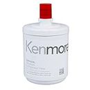 Kenmore 79551012010 9890 Replacement Refrigerator Water Filter, 1 Count (Pack of 1), White