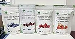 Freeze Dried Berries Varies Set - Raspberries/Blueberries/Strawberries/Cranberries - 100% Fruit - Grown in Canada, Delicious Fruit Snacks