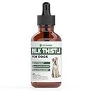 Milk Thistle for Dogs | Supports Liver and Kidney Health | Milk Thistle for Dogs Liver Support | Dog Milk Thistle | Dog Liver Support | Dog Liver Supplement | Milk Thistle Supplement for Dogs | 1 oz