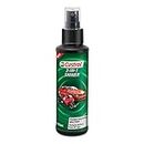 Castrol Glass 3-in-1 Shiner for Bikes and Cars (100Ml) | Provides Long-Lasting Gloss Finish | Protects Surfaces from Uv Rays | Excellent Shine | Streak-Free Finish, Multicolor