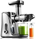 AMZCHEF Cold Press Juicer with 2 Speed Control - High Juice Yield Juicer Machines with Ultradense Filter - Masticating Slow Juicer for Whole Fruit and Vegetable - 1 Bottle and 2 Cups - Silver