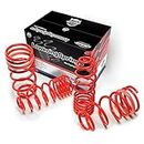 Auto-Style lowering springs compatible with Mercedes SLK 280/350 W171 04-30mm