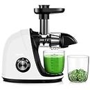 Jocuu Slow Masticating Juicer with Soft/Hard Modes Easy to Clean Quiet Motor & Reverse Function Cold Press Juicer for Fruit and Vegetable, 90% Juice Yield, with Brush & Recipes (White)