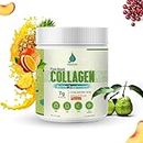 Vedapure Plant Based Skin Collagen Builder Supplement | Mixed Fruit, 210g| Skin Collagen Booster for Men & Women with Hyaluronic Acid, Biotion, Vitamin E & C | Healthy Skin, Joints, Hairs & Nails
