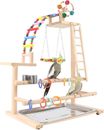 Bird Playground, Perch Stand Parrot Playstand Play Gym with 2 Perches Stand Wind
