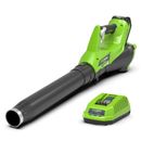Greenworks G-MAX 40V 4.0Ah Lithium-Ion Cordless Garden Leaf Axial Blower Kit