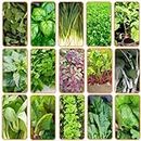 THE INDIAN BEEJ - Green Leafy Vegetable seeds|15 Varieties | Home Garden| Perfect for Home Gardening| Planting For Pots and Patio |2300 +Seeds| Best Germination
