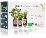 Cultivea® Kit Completo de Hierbas - Cultiva Tus propias Hierbas aromáticas - 100% ecológicas: Semillas orgánicas - Decora tu hogar con un huerto Urbano. (Cebollino, Albahaca, Perejil)