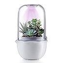 E SUPEREGROW Succulent Pot with Grow Light,Smart Terrarium Planter with Timer&Fan,Small Indoor Plant Pots with Drainage Hole for Persian Violet,Sundew Moss,Flytra,Cactus(No Plant), Nice Gift for mom