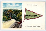 1940 You Au-to Maryville TN It's The Nicest Place I know Pennant Old Photo
