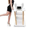 Beauty Salon Furniture Trolley Spa Styling Pedestal Rolling Cart 4 Shelf Abs Aluminum Elitzia ETTRO5