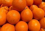 Fresh Minneola Tangelo/Honeybell Oranges - 2 lbs