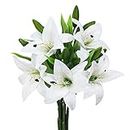 (White) - JEDAW Artificial Flowers Tiger Lily Real Touch Fake Flowers for Wedding Home Party Garden Shop Office Decoration Plastic Lily 5 Bouquets Faux Flowers. (White)