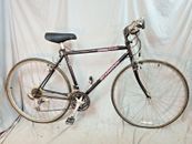 1992 Schwinn CrissCross City Hybrid Fahrrad Groß 20.5 " Chromoly Stahl USA