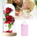 Beauty and The Beast Rose Enchanted Rose in a Glass Rose LED Artificial Flower
