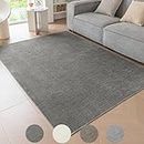 Ceneco Low Pile Rug, Washable Rugs for Living Room - Modern Soft Short Pile Area Rugs for Bedroom Dining Room Carpet for Kitchen Non Slip Non Shedding(Dark Grey, 80×150cm)