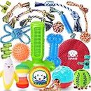 KIPRITII Dog Toys for Puppy Teething - 23 Pack Puppy Teething Toys for Boredom, Pet Dog Toothbrush Dog Toys with Rope Toys, Dog Treat Ball and More Squeaky Toy for Puppies and Small Dogs