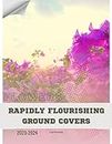 Rapidly Flourishing Ground Covers: Become flowers expert