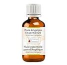 Greenwood Essential Reines Engelwurz Essentiell Öl (Angelica archangelica) Natürlicher Therapeutischer Qualität Dampfdestilliert 2ml (0.06 oz)