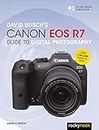 David Busch's Canon Eos R7 Guide to Digital Photography