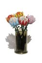 Rainbow theme Beaded Protea Flowers Set of 5 by Job Guwhe. Home/ Office Decor