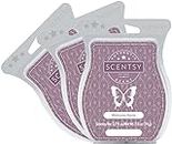 Scentsy, Welcome Home, Scentsy Bar Wickless Duftwachs für Duftwachstörtchen, 100 ml, 3er-Pack