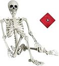 LabHouse Halloween Skeleton - Life Size Full Body Realistic Human Bones with Posable Joints Skeleton Prop Decoration