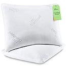 Zen Bamboo Pillows - King Size, Ultra Plush, Down Alternative, Cooling Pillow 2 Pack – Machine Washable w/Cool, Breathable Cover