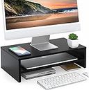 FITUEYES Computer Monitor Stand 16.7 inch 2 Tiers Laptop Riser with Storage Shelf Wooden Desk Organizer for Home Office Use, Black DT204201WB