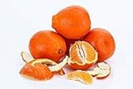 Kejora Fresh Honeybell Oranges (Minneola Tangelo) 15 lb