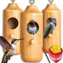Latitude Run® 3 Wooden Humming Bird House, 1 Hummingbird Feeder Ring Bird Feeder, Nectar, Garden Bird House Kit Birdhouse | Wayfair