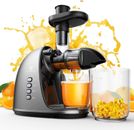 Cold Press Juicer Machine: Easy to Clean Slow Masticating Extractor Silver