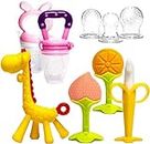 HONGTEYA Teething Toys for Baby (6 Pack) 4 Teethers for Babies 2 Fruit Feeders for Newborn BPA Free Natural Organic Silicone Baby Teethers Massage Set (Pink)
