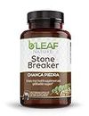 Stone Breaker Chanca Piedra Extract 1000mg - Urinary Tract and Gallbladder Support - 100 Vegetarian Capsules by B’Leaf Nature