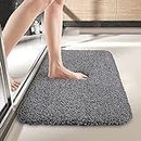 BSPS Indoor Doormat, Front Door Mat for Entrance (16"X24" Dark Grey) Machine Washable Non Slip Dirt Trapper Floor Mats Model No. Rubber Backing_247
