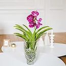 Fleurs et Délices - Orchidée Vanda - Plante d'intérieur Avec cache-pot - Cadeau Fête des Grand-mères - Cadeau Mamie - Fabrication Française Artisanale de Qualité - Cadeau à Offrir