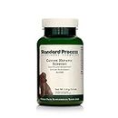 Standard Process - Canine Hepatic Support - Liver Metabolism Support for Dogs - 110 Grams