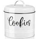 DAYYET Farmhouse Cookie Jar for Kitchen Counter, 1 Gallon Vintage Cookie Jar with Airtight Lid, Large Food Storage Container for Candy, Cookies, Dessert, Rustic Kitchen Decor and Accessories