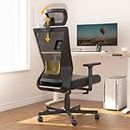 Dripex Ergonomic Office Chair, High Back Computer Desk Chair, Mesh Task Chair with Lumbar Support, Adjustable Headrest & 2D Armrest, 90°-135°Tilt Function, Swivel Home Office Chairs, Black