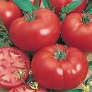 Tomato 15 Seeds Grosse Lisse Heirloom Easy Vegetable Garden Australian Trusted