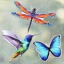 3 Paar Fliegengittertüren Magnete Doppelseitige Fliegengitter Magnete Dekorative Magnetische Flexible Magnete Fliegengittertüren Aufkleber, Schmetterling, Libelle, Kolibri