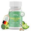 Vitabay Brokkoli Extrakt 500 mg • 60 vegane Kapseln • Mit Sulforaphan • Ohne Gentechnik • Vitaminbombe • Reines Extrakt • Pharmaqualität